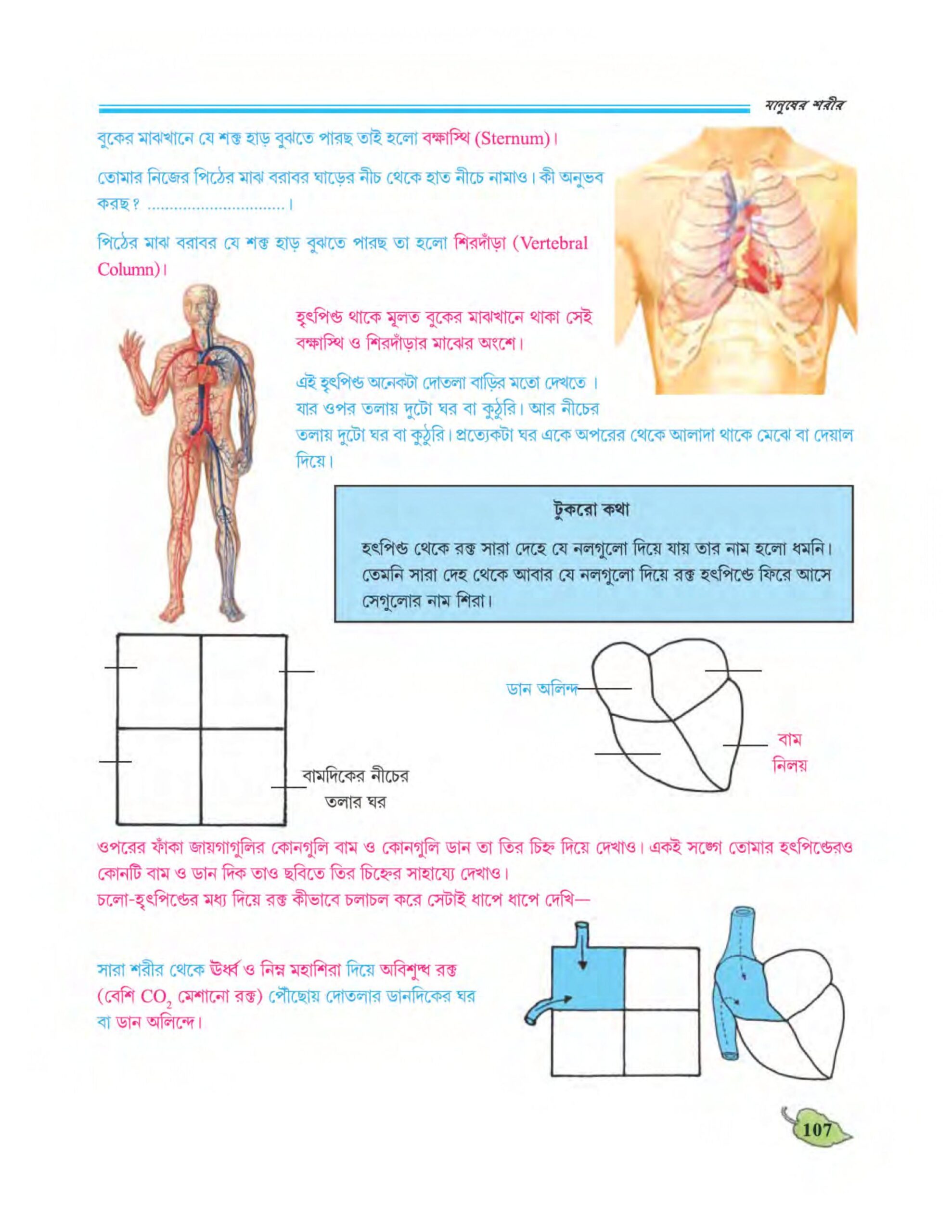 Wbbse class 6 science chapter 8 pdf might learn