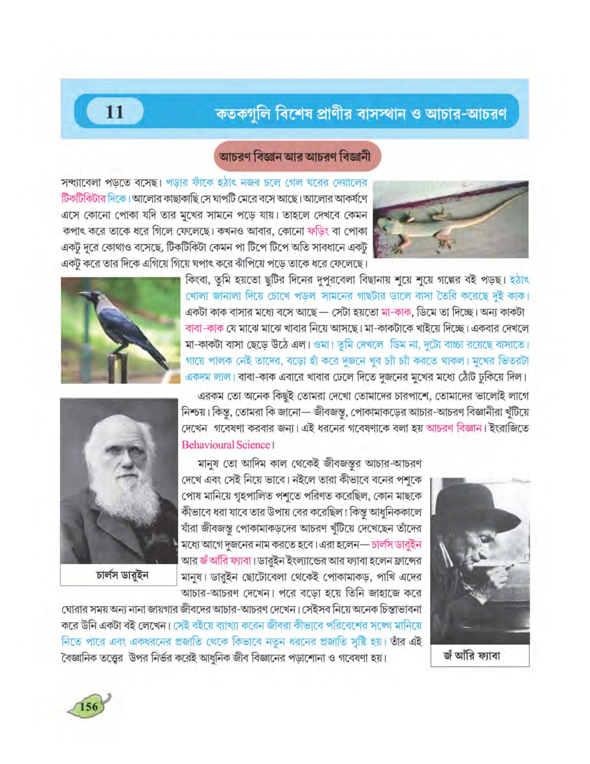 Wbbse class 6 science chapter 11 pdf might learn